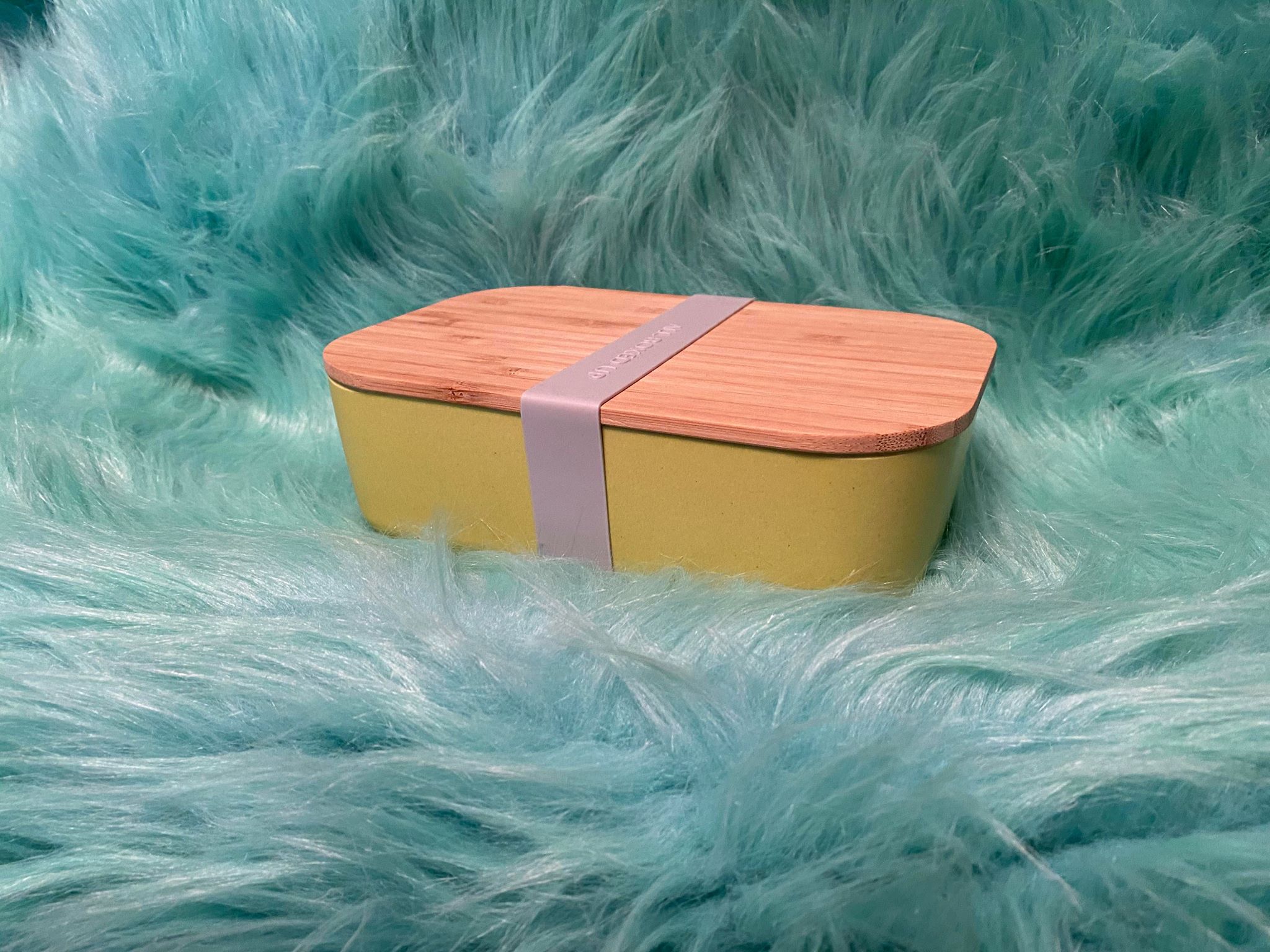 Eco-friendly Food Storage / Trendy Bento Lunch Boxes with Bamboo Fiber Lid  – Genius Creative Adventures